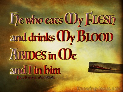 John 6:56  He Who Eats My Flesh And Drinks My Blood Abides In Me (brown)