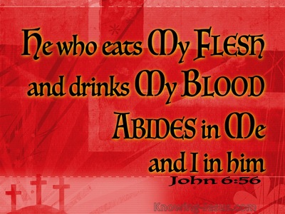 John 6:56  He Who Eats My Flesh And Drinks My Blood Abides In Me (red)