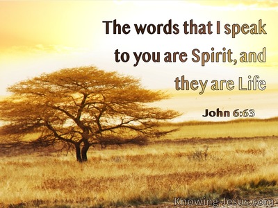 John 6:63 The Words I Speak Are Spirit and Life (windows)06:29