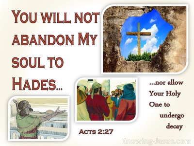 Acts 2:27 You Will Not Abandon My Soul To Hades (red)
