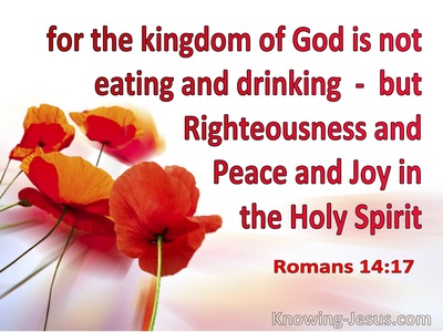 Romans 14:17 The Kingdom Is Righteousness Peace Joy In The Holy Spirit (orange)
