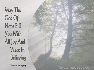 Romans 15:13 May The God Of Hope Fill You With All Joy And Peace In Believing (gray)