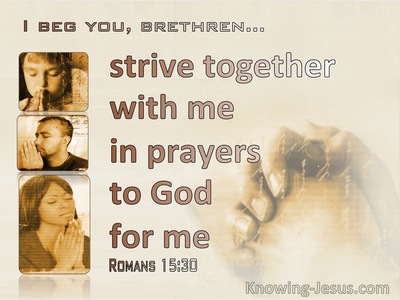 Romans 15:30 Now I urge you, brethren, by our Lord Jesus Christ and by the  love of the Spirit, to strive together with me in your prayers to God for  me,