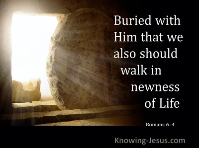 Romans 6:4 Buried With Him That We Also Should Walk In Newness Of Life (brown)