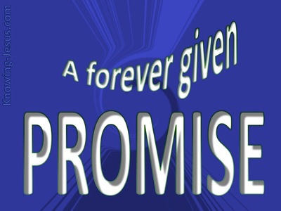 A Forever Given Promise (devotional)