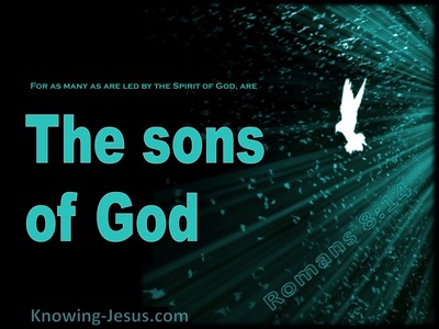 Romans 8:14 Led by the Spirit (aqua)