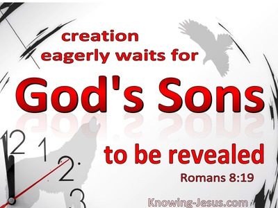 Romans 8:19 All Creation Waits For God's Sons To Be Revealed (white)