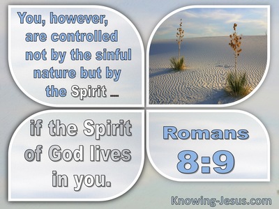 Romans 8:9 Not Controlled By Sinful Nature But The Spirit (windows)10:01