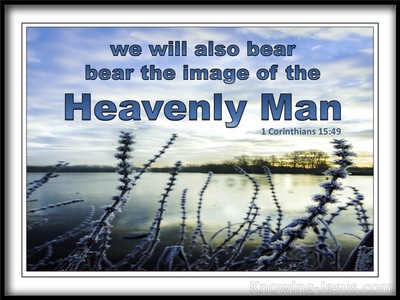 1 Corinthians 15:49 We Bear The Image Of The Heavenly Man (blue)