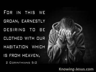 26 Bible Verses About Clothed With Good Things