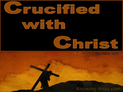 Galatians 2:20 Crucified With Christ (devotional)11:28 (brown)