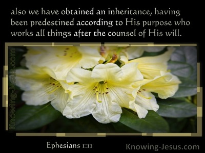 Ephesians 1:11 We Have Obtained An Inheritance Having Been Predestined (black)