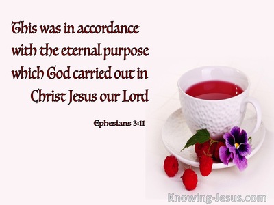 Ephesians 3:11 The Eternal Purpose Of God (white)