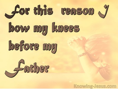 43 Bible Verses About Family Love
