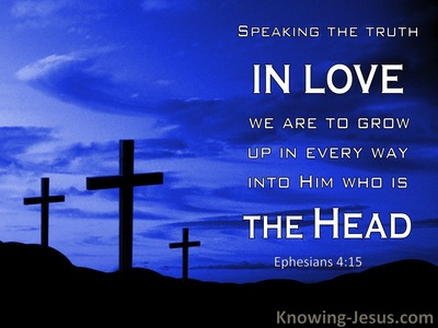 Ephesians 4:15 Speaking The Truth In Love : Grow Into Him (windows)12:14