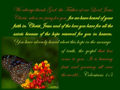 Colossians 1:5 Hope Reserved In Heaven (green)