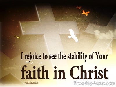 Colossians 2:5 Stability Of Your Faith In Christ (white)