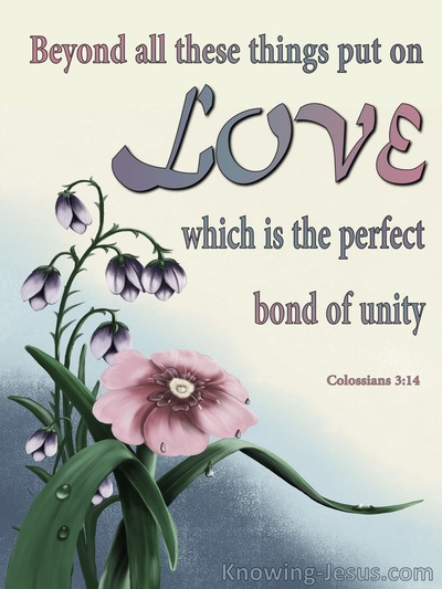 Colossians 3:14 Beyond all these things put on love, which is the ...