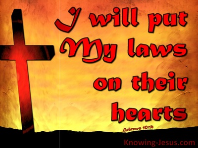 Hebrews 10:16 My Laws In Their Heart (yellow)