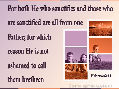 Hebrews 2:11 The Sanctifier And Sanctified Are Of One Father (purple) 