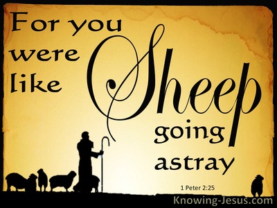 1 Peter 2:25 You Were Like Sheep Going Astray (yellow)