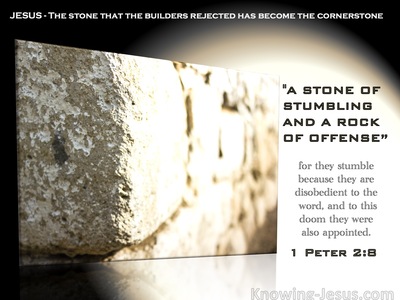 1 Peter 2:8 They Stumble, Being Disobedient To The Word (white)