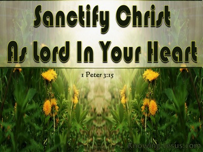 1 Peter 3:15 Sanctify Christ As Lord In Your Heart (green)