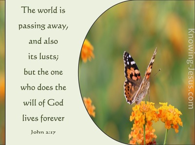 1 John 2:17 The World Is Passing Away (green)