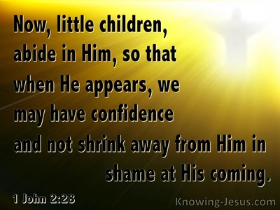 1 John 2:28 Little Children, Abide In Him (brown)