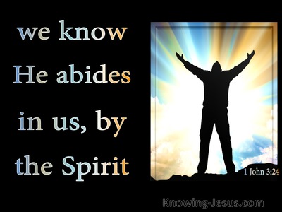 1 John 3:24 We Know He Abides In Us By The Spirit (black)