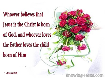 1 John 5:1 Child Of God (pink)