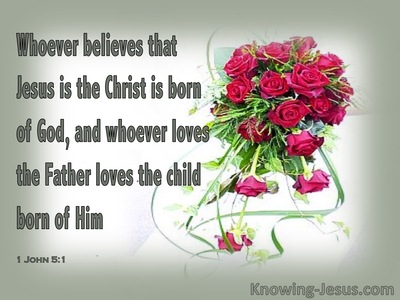 1 John 5:1 Whoever believes that Jesus is the Christ is born of God, and  whoever loves the Father loves the child born of Him.