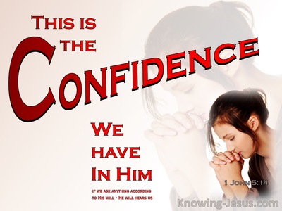 1 John 5:14 Confidence In Him (red)