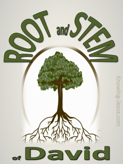 Root and Stem of David (devotional) (green)- Isaiah 11:1