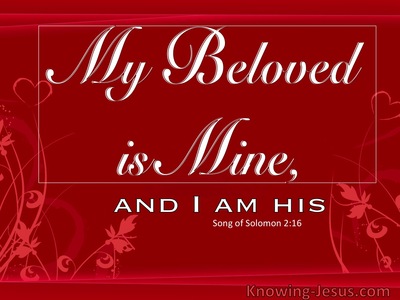 My Beloved (devotional) (red) - Song of Solomon 2:16