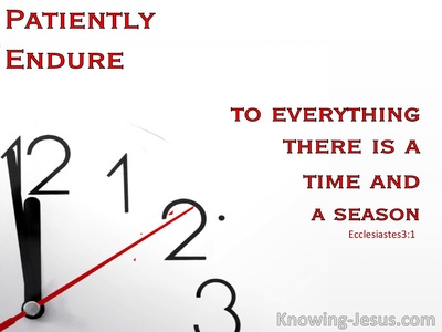 Patiently Endure (devotional) (white) - Ecclesiastes 3:1