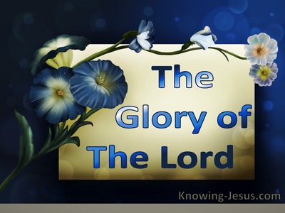 The Glory of the Lord (devotional) (navy) - Exodus 24:17
