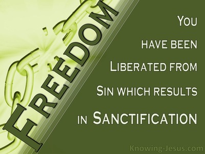 Romans 6:22 Faith and Freedom (devotional)05-08 (sage)