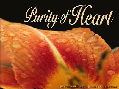 Proverbs 22:11 Purity of Heart (orange)