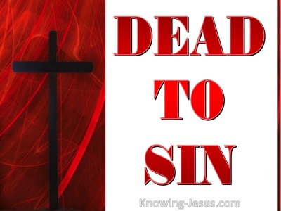 Romans 6:11 Dead To Sin (devotional)11:02 (white)