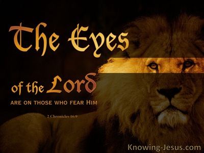  2 Chronicles 16:9 The Eyes of the Lord (devotional)11:06  (brown)