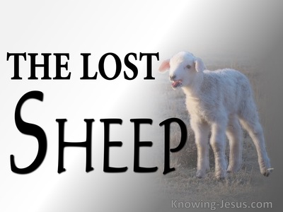 Matthew 15:24 The Lost Sheep (white)