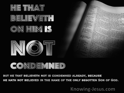 John 3:18 Words and Meanings (devotional)05:01 (silver)
