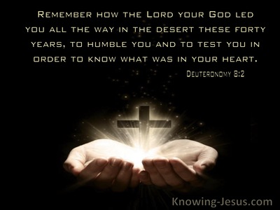 41 Bible Verses About Humble