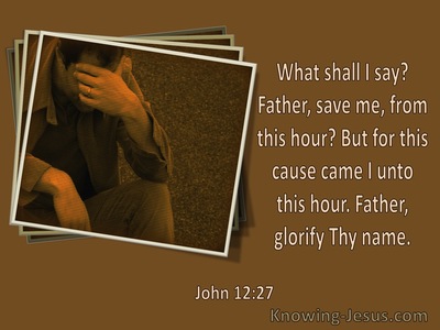 John 12:27 It Was For This Cause I Came Unto This Hour (utmost)06:25