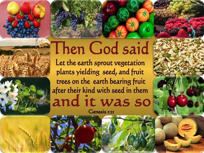 https://images.knowing-jesus.com/w/700/01-GENESIS/Genesis+1-11+Let+The+Earth+Sprout+Vegetation+gold.jpg