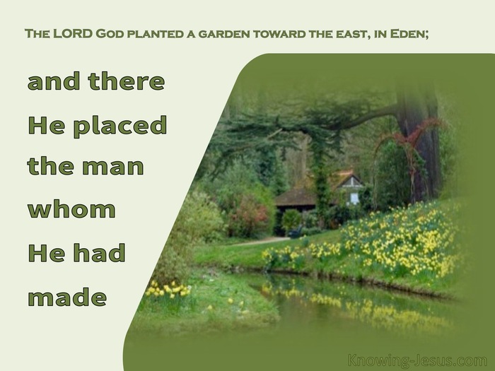 Genesis 2:8 The LORD God Planted A Garden Toward The East bible (green)