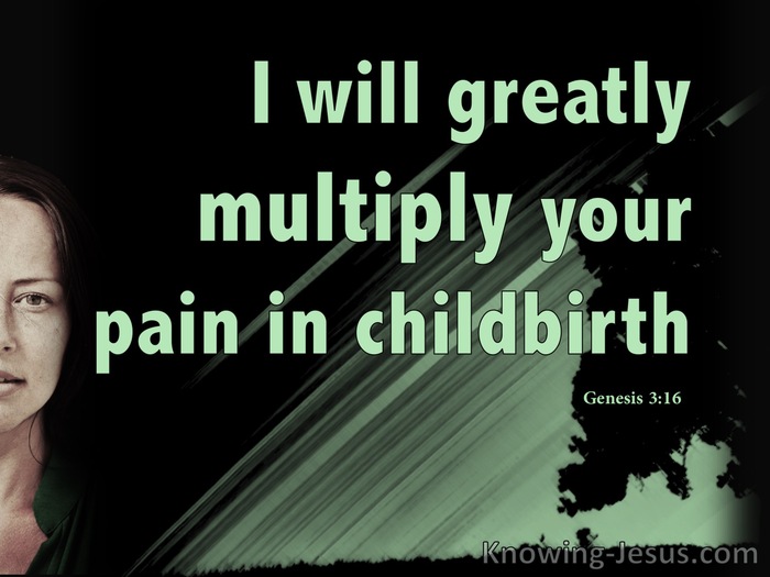 Genesis 3:16 Multiply Your Pain In Childbirth (sage)