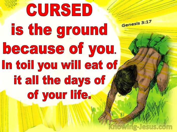 A Curse - All the Biblical Names for God
