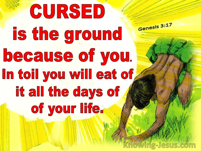 Genesis 3:17 Because You Have Eaten Of The Tree (red) 